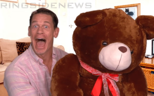 teddy bear cena
