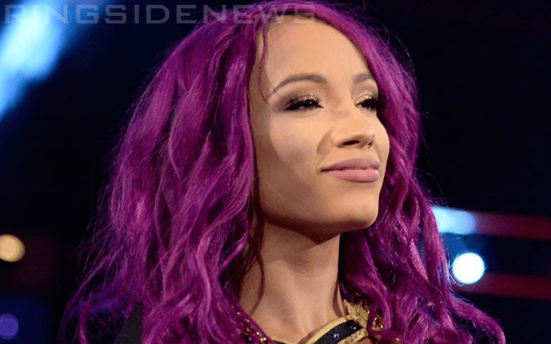 Sasha Banks Changes Her Look Following WWE Hiatus