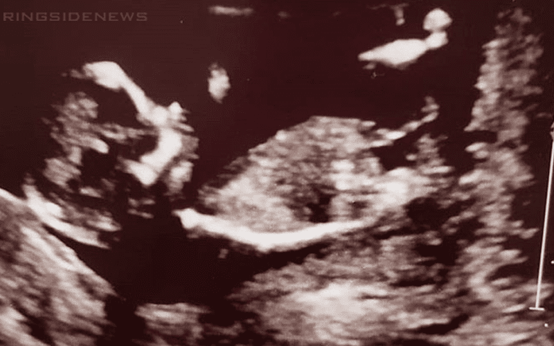 WWE Champion Expecting Another Child