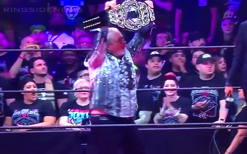 Bret Hart Fell Off AEW Double Or Nothing Stage After All Elite Title Reveal