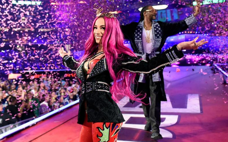 Sasha Banks Agrees WWE Fans Are ‘Supporting A Sh*tty Company For Its Past Greatness’