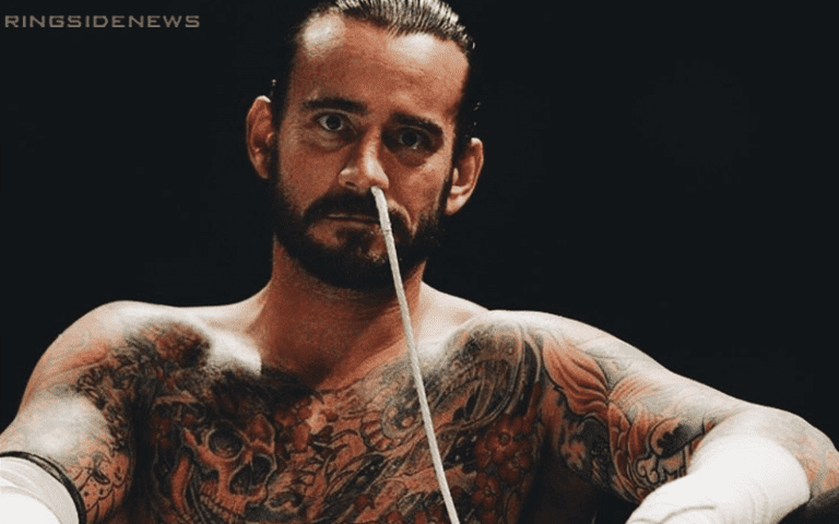 CM Punk Seems To Be Getting Tired Of People Asking About Pro Wrestling Return