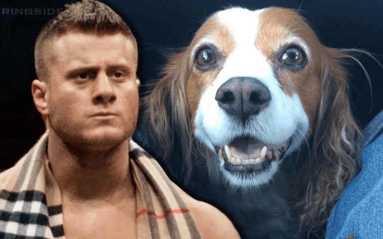 MJF Insults Cancer Surviving Dog & Everyone Else’s Pets