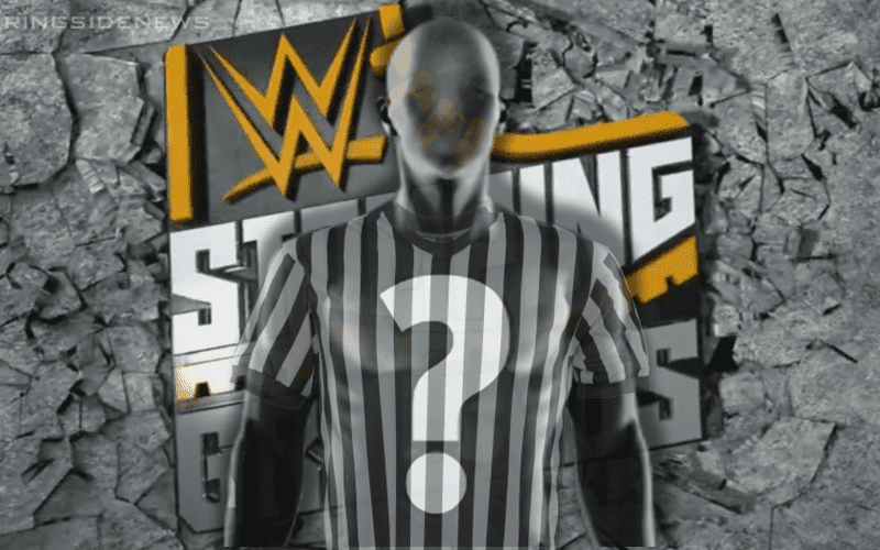 WWE Could Have Interesting Idea For Stomping Grounds Special Referee