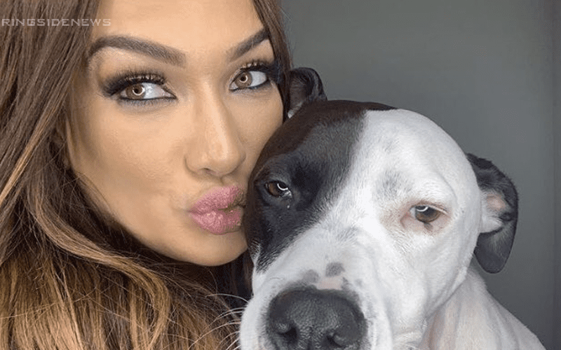 Nia Jax Sends Her Closest Friends Photos Of Her Dog’s Butt