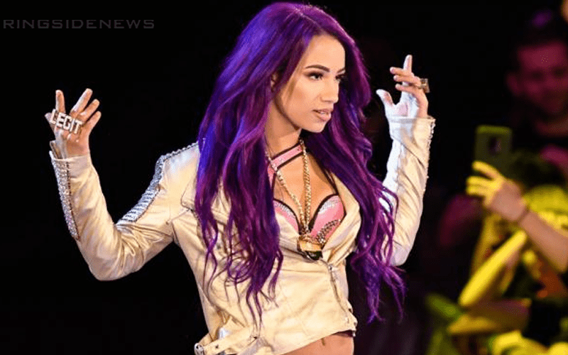 Sasha Banks’ WWE Return Is Still ‘To Be Determined’
