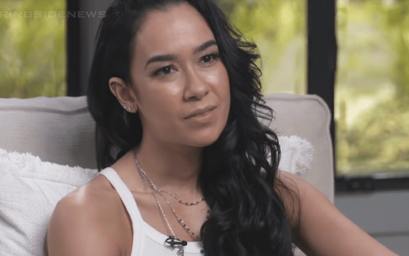 AJ Lee Reacts After Being Told ‘Go Back Where You Came From’