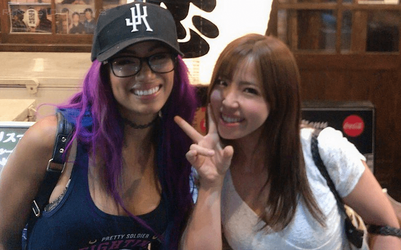 Sasha Banks Spotted In Japan Hanging Out With Joshi Wrestler