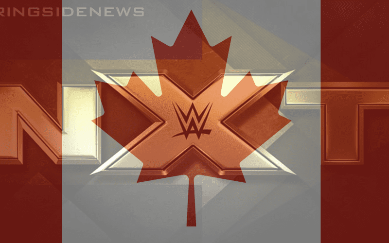 WWE Considering NXT Canada Brand