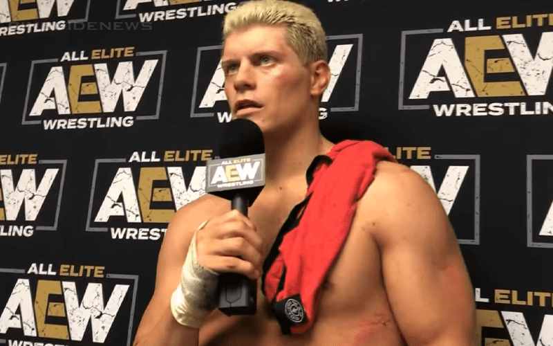 Cody Rhodes Says Everything About AEW Has Been Ridiculous So Far