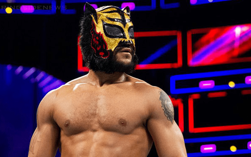 Lince Dorado Asks For Better Insults From His Haters
