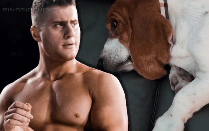MJF Threatens To Kill Fan’s Dog For Stealing His Look