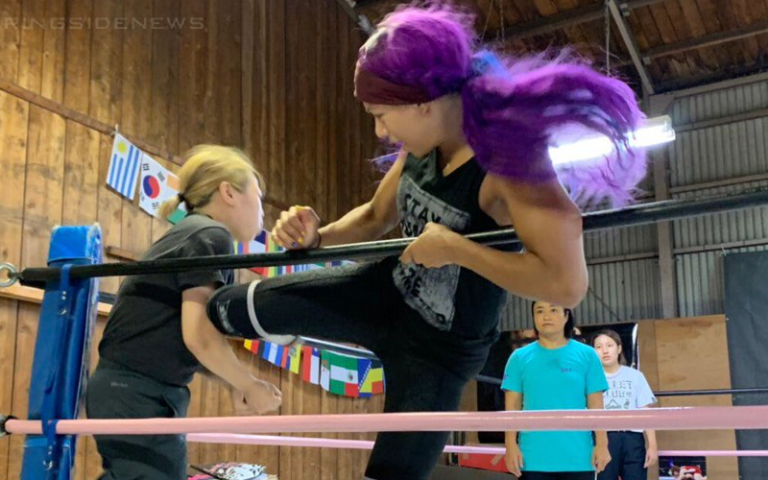 Sasha Banks Trains In Japan Before Expected WWE Return