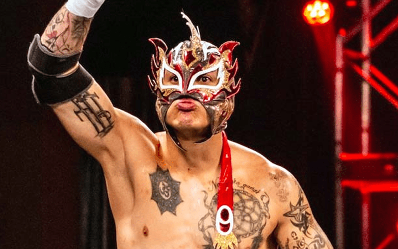 Update On Fenix’s Condition After Injury Scare