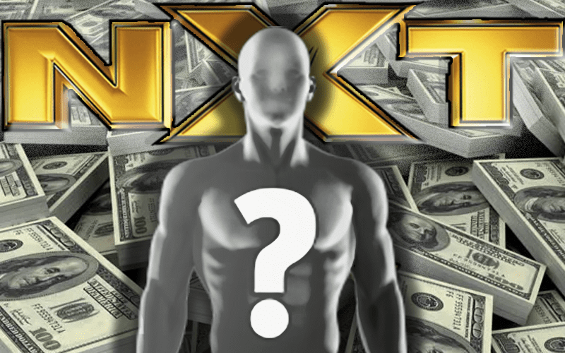 NXT Superstars Could Reportedly Make WWE Main Roster Money Soon