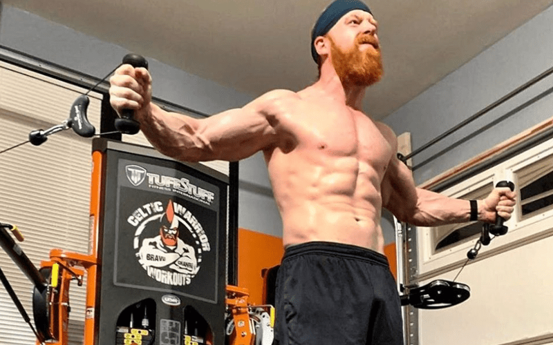 Sheamus Lost 30 Pounds Because He Wasn’t Happy In WWE
