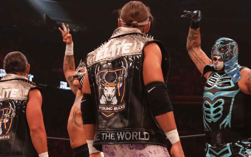 Young Bucks Say They ‘Went Too Far’ At AEW All Out