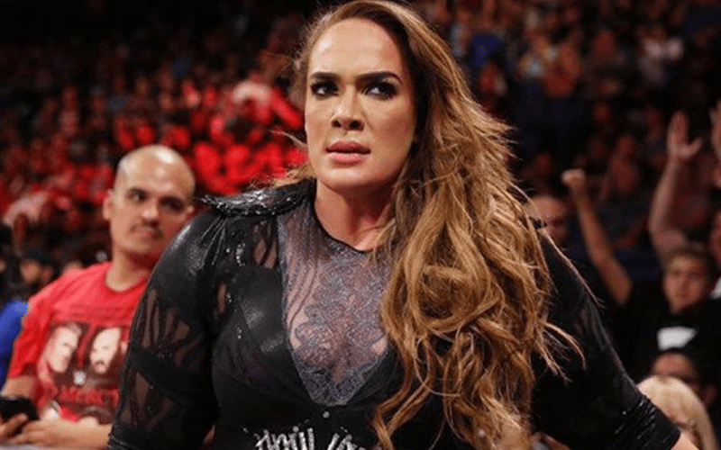 Nia Jax Reacts To Being Called A Bully After Using Sarcasm With Fan