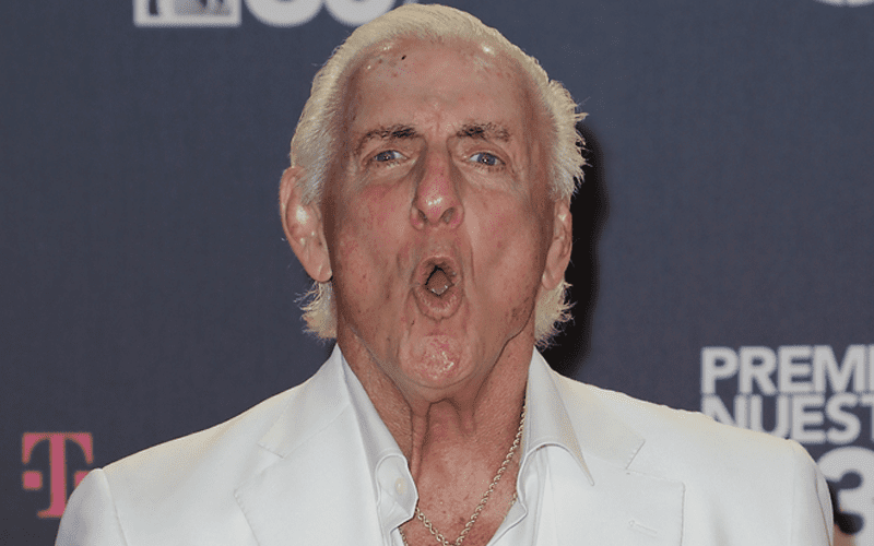 Ric Flair Claims WWE Screwed Him Over On Deal To Use ‘The Man’