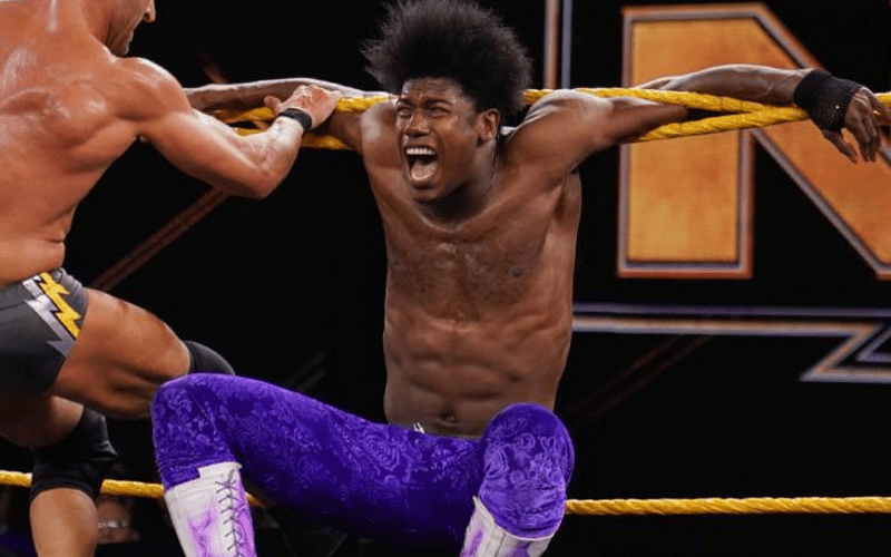 Velveteen Dream Wrestled Hurt For Some Time Before Being Pulled From Action