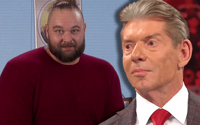 Bray Wyatt Wants To Take Out Vince McMahon
