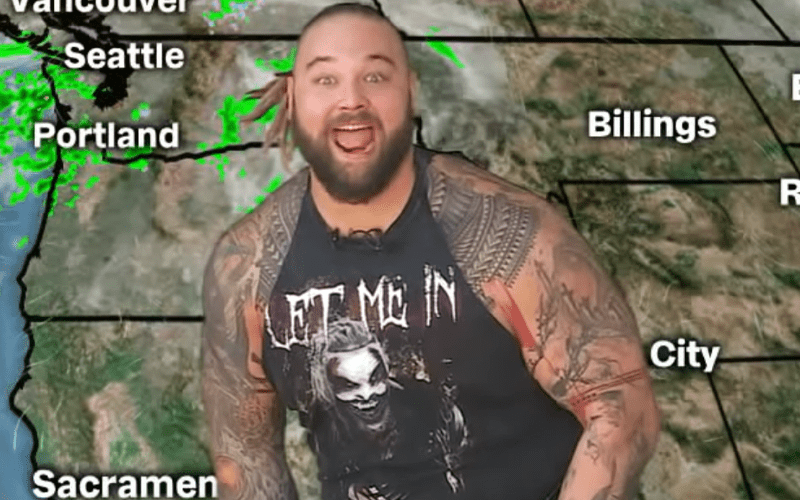 WATCH Bray Wyatt Have A Ton Of Fun Invading Local Weather Report