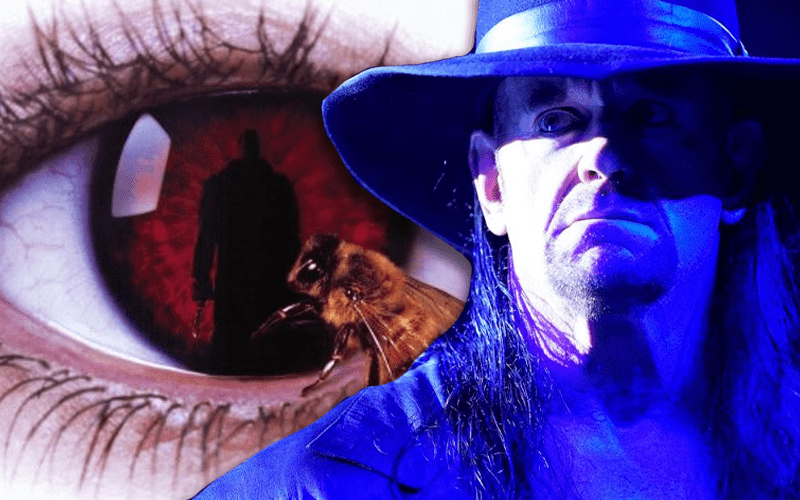 Ex WWE Says He Pitched ‘Candyman’ Angle For The Undertaker