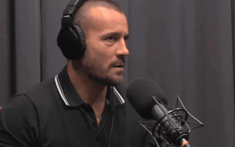 CM Punk Says Being Back In WWE Would Be ‘Alien’ To Him Now — But There’s A Place For Him