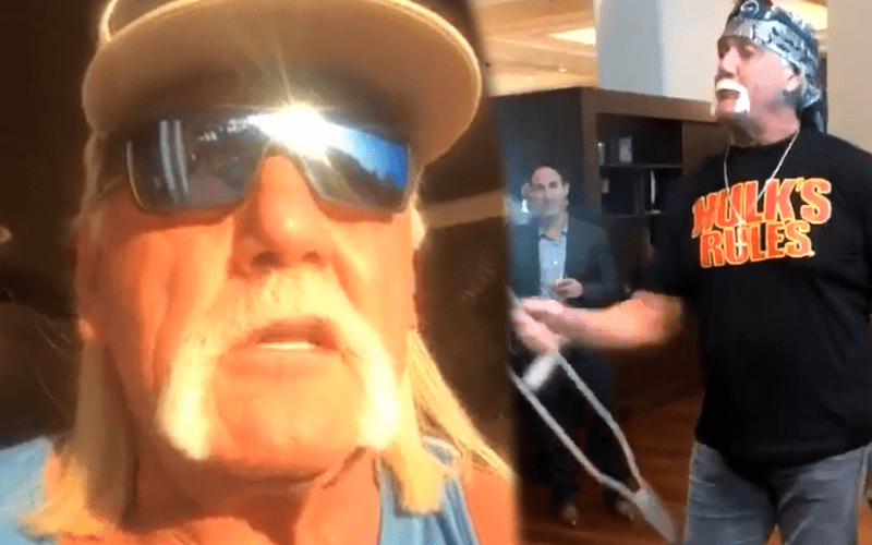 Hulk Hogan Explains Confrontation With Fan
