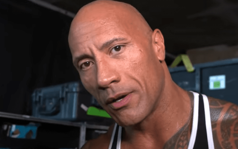 The Rock Finally Confirms Big DC Superhero Role