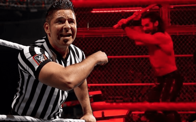 WWE Referee Explains Why He Called Off Hell In A Cell Match