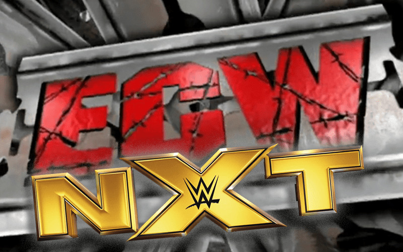 Chris Jericho Says NXT Is Like WWE ECW In 2009