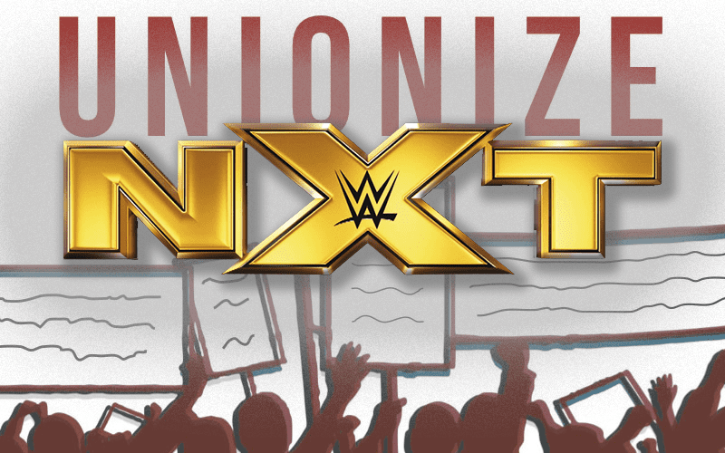 NXT Filling In On SmackDown Could Squash Union Efforts For WWE Superstars