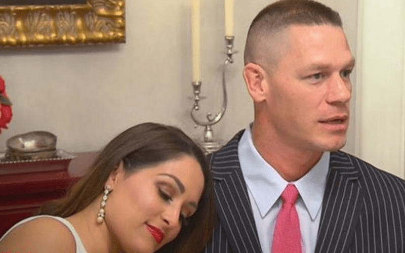 John Cena Never Took A Paycheck From Total Bellas
