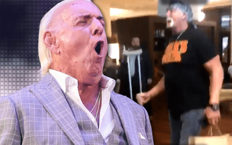 Ric Flair Explains Situation Behind Hulk Hogan Fan Confrontation