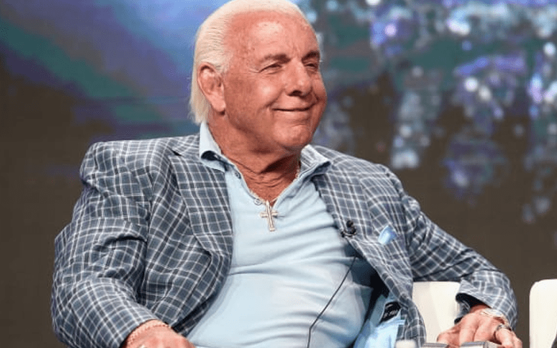Ric Flair Receives Oil Painting Of Himself For Christmas