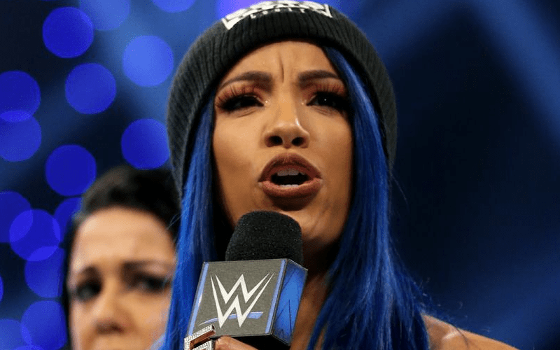 Sasha Banks Brags About How Much Money She Makes For Not Wrestling At House Show