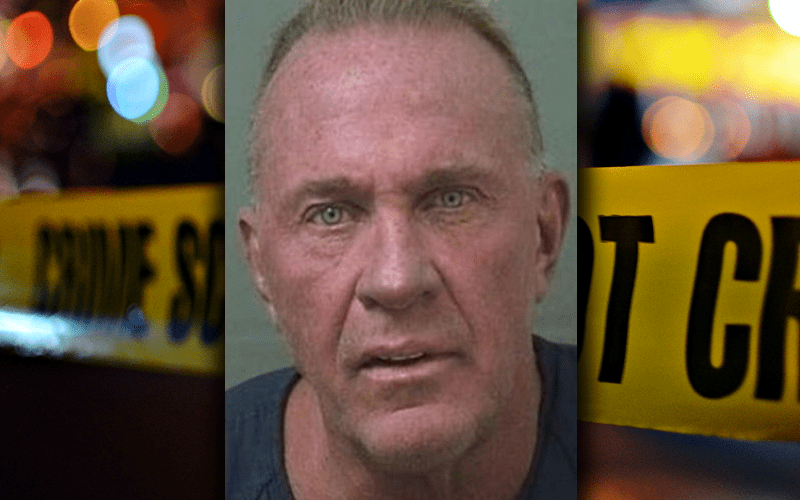 Van Hammer Arrested For DUI After Hitting 5-Year-Old With Car