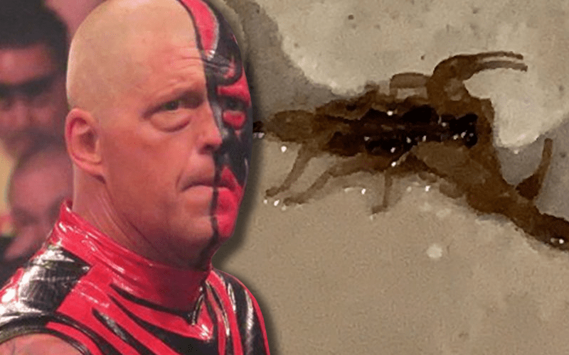 Dustin Rhodes Attacked By Scorpion In The Shower