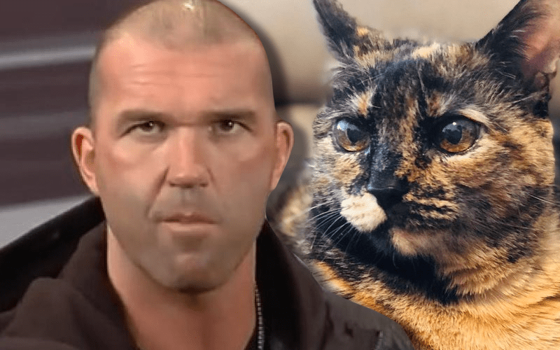 Frankie Kazarian Reveals Special Delivery From AEW After His Cat Died
