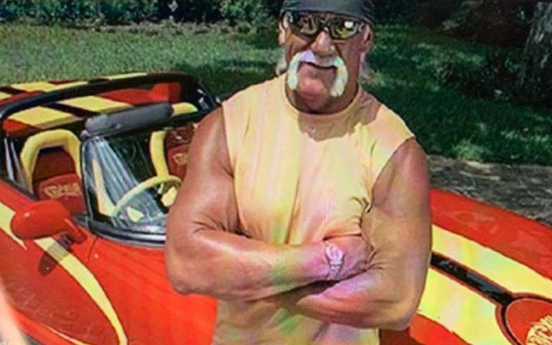 Hulk Hogan Auctions Off Famous WCW ‘Hulkster Viper’