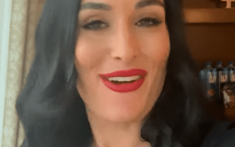 Nikki Bella Sends Message To Fans After Engagement Announcement