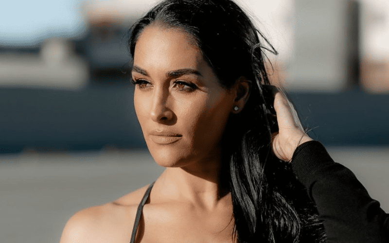 Nikki Bella Comments On Reaction To Bella Twins Pregnancy News