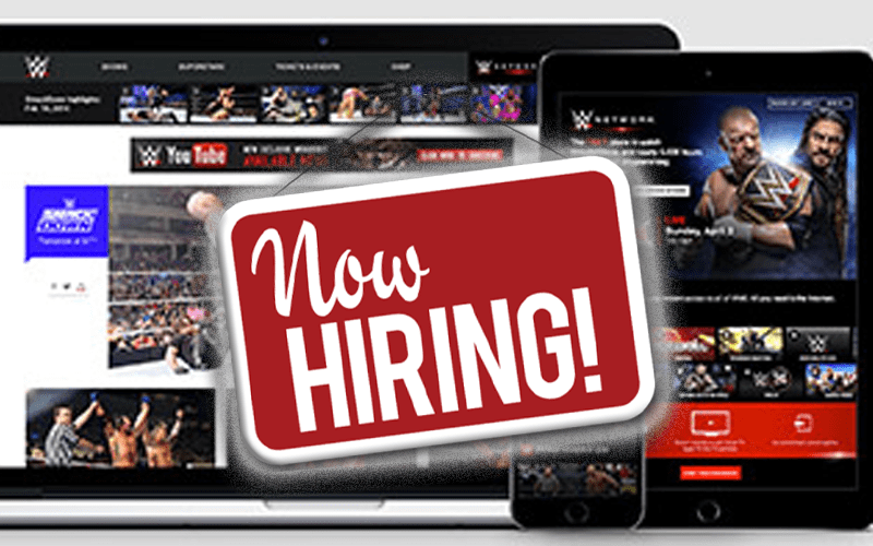 WWE Hiring For Social Media Jobs Outside Of America