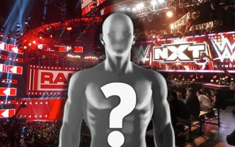 WWE NXT Superstar Debuts On RAW