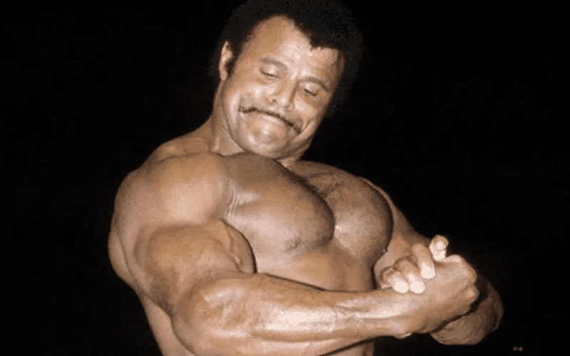 Rocky Johnson Passes Away At 75 Years Old