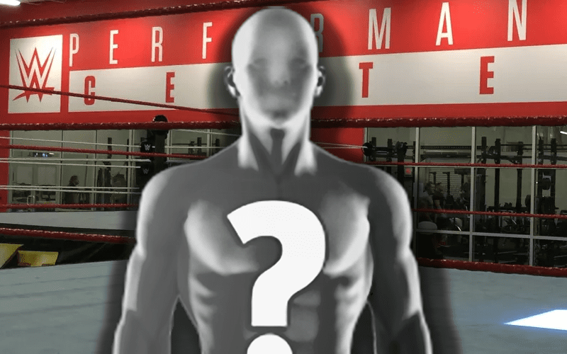 New WWE NXT Signing Revealed