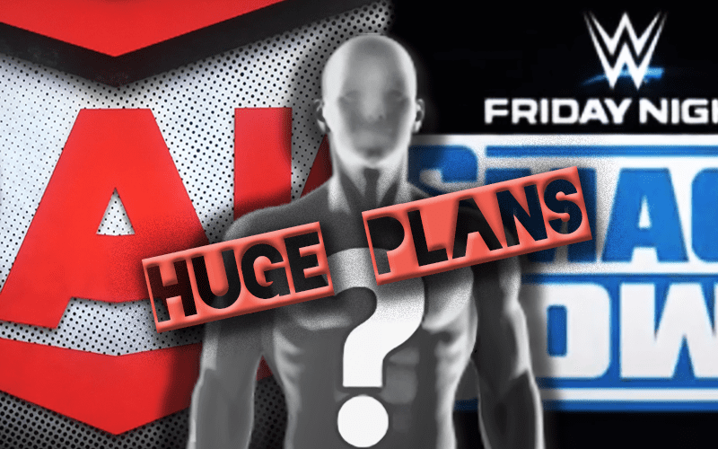 WWE Could Have HUGE Plans For Debuting Superstar