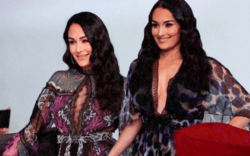 Bella Twins Return & 8 Man Tag Match Announced For WWE SmackDown