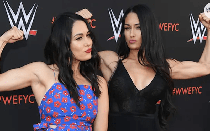 The Bella Twins Thought They Were In Trouble When WWE Hall Of Fame Call Came